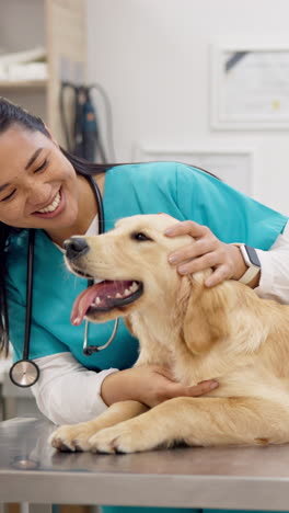 Tierarzt,-Hund-Und-Glückliche-Frau-Streicheln-Für-Die-Pflege