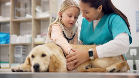 Dog,-stethoscope-for-healthcare