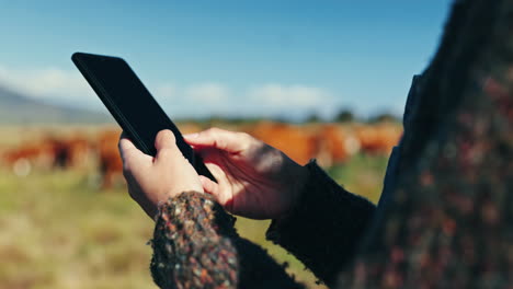 Farmer,-phone-and-cattle-on-field-for-agriculture