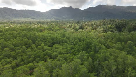 Aerial-backwards-dolly-drone-shot-of-mountains,-jungle-and-a-mangrove-forest