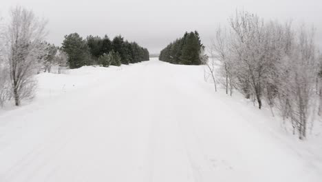 FPV-Aufnahme-Oder-Schneebedeckte,-Immergrüne-Bäume,-Die-Eine-Lange-Auffahrt-Säumen