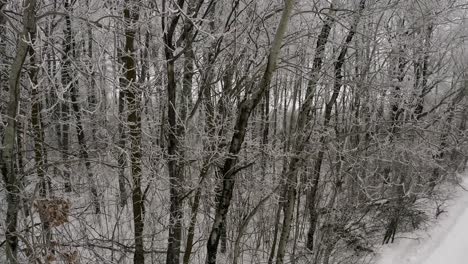 Aerial-pan-left-of-a-winter-tree-line-during-a-soft-snowfall