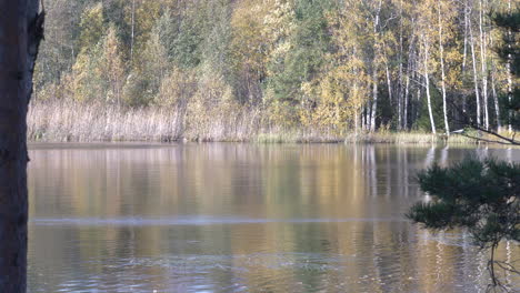 Autumn-lake-in-Finland,-static-flat