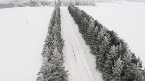 FPV-shot-or-snow-covered-ever-green-trees-lining-a-long-driveway-leading-to-a-cozy-warm-winter-cabin-with-firewood-on-the-front-porch