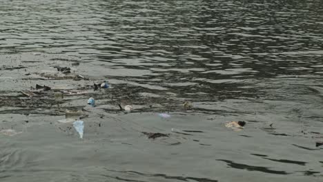 Statische-Aufnahme-Von-Plastikmüll,-Der-Das-Meerwasser-Verschmutzt