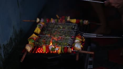 Scene-of-home-veggie-barbecue-preparation