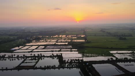 Luftaufnahme:-Drohnenaufnahmen-Des-Sonnenaufgangs-über-Dutzenden-Von-Reisfeldern-In-Thailand