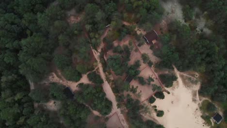 Luftaufnahme-Von-üppigen-Bäumen-Und-Häusern-Im-Norwegischen-Dorf-Arendel-In-Zagorow,-Polen---Umlaufende-Drohnenaufnahme