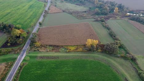 Landwirtschaft-Landdrohnenansicht-Im-Herbst