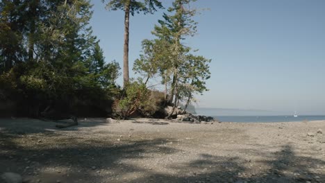 Tree-Logs-On-The-Stony-Sand-At-The-Shore-In-Penrose-Point-State-Park-In-Lakebay,-Washington---forwarding-shot