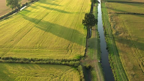 Toller-Drohnenblick-Auf-Reisfelder-Nördlich-Von-Italien,-Lombardei