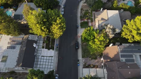 Sonnige-Kalifornische-Nachbarschaft-Mit-Bäumen-Und-Häusern