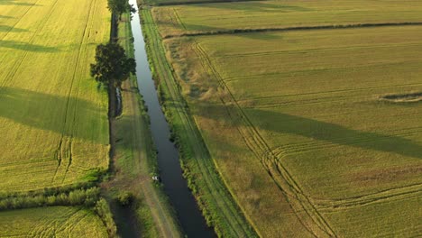 Toller-Drohnenblick-Auf-Reisfelder-Nördlich-Von-Italien,-Lombardei