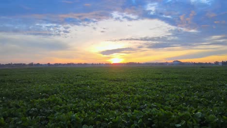 Landscape-of-a-sunrise-setting-on-fields-of-farmland-in-Thailand