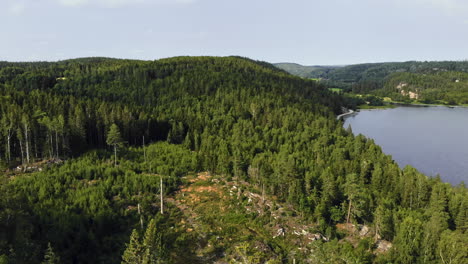 Forward-aerial-shot-of-green-hilly-forest-by-lake-in-sunlight,-Sweden