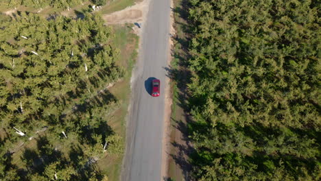 Car-driving-rural-road-in-forest-seen-from-above