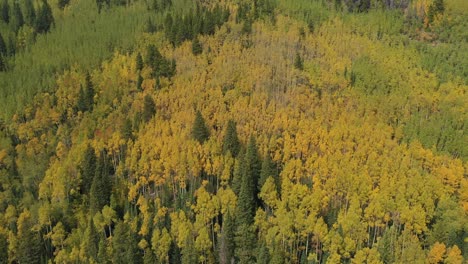 Luftaufnahme-Der-Grün-gelben-Landschaft-An-Einem-Sonnigen-Herbsttag