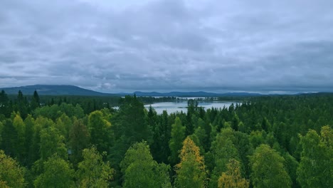 Flying-Over-The-Lush-Green-Aspen-Trees-Near-The-Calm-Lake-In-Dalarna,-Sweden