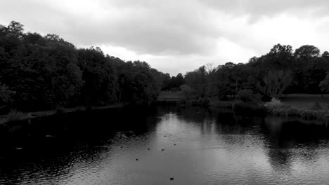 Flying-back-over-a-dark-lake,-rain-spattering-a-calm-surface-dotted-by-waterfowl,-black-and-white,-aerial