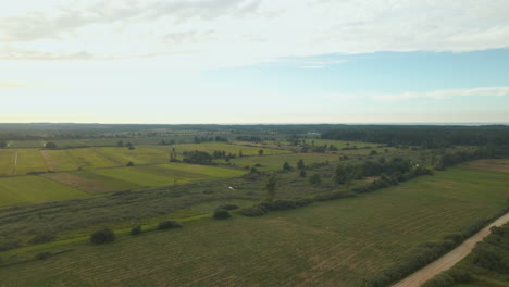 Fly-Towards-Scenic-Flat-Greenery-Farmland-In-Countryside-At-Debki,-Poland-Under-Blue-Sky