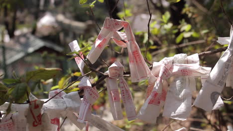 Papier-An-Bäume-Im-Japanischen-Park-Gebunden
