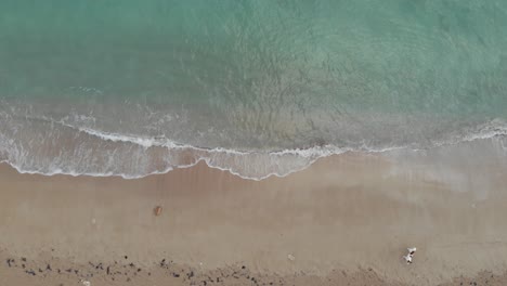 An-aerial-view-on-waves,-hitting-a-beach-in-the-carribean