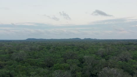 Sunset-scenery-above-green-tropical-jungle-of-Yala-national-park,-aerial