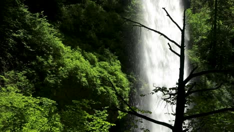 Las-Cascadas-De-Las-Montañas-De-La-Selva-Tropical-En-El-Parque-Estatal-Silver-Falls-Cerca-De-Silverton-En-Oregon
