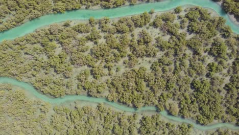 Aerial-dolly-left-flying-over-mangroves,-Al-Reem,-UAE