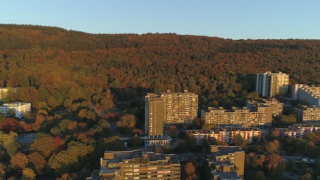 Luftaufnahmen-Von-Drohnen-Stadt-Im-Wald