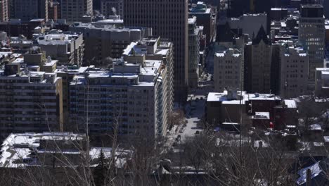 Schwebende-Volle-Aufnahme-Von-Wohnhäusern-In-Der-Innenstadt-Von-Montreal-Von-Der-Spitze-Des-Mont-Royal