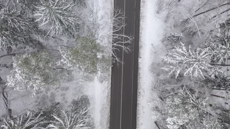 Drone-aerial-view-of-snowy-forest-and-countryside-road-in-Kaunas-county,-Lithuania