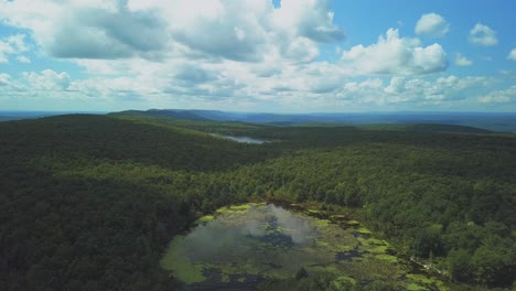 Aerial-shot-of-a-lake-surrounded-by-a-forest
