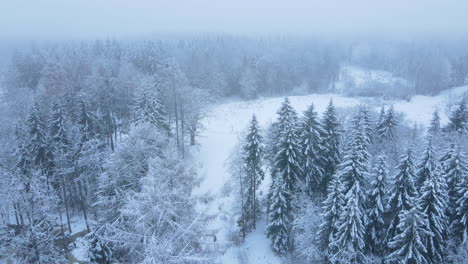 Aerial-view-of-snow-covered-foggy-forest-during-winter---drone-descending,-backward