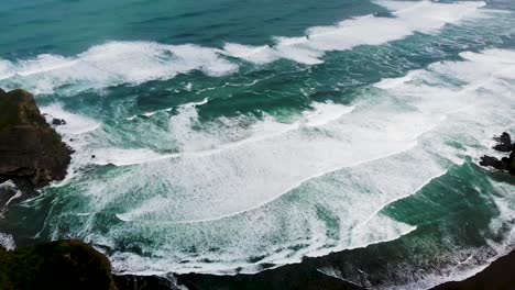 Aerial-shot-of-Piha-beach-while-camera-tilts-down-capturing-waves