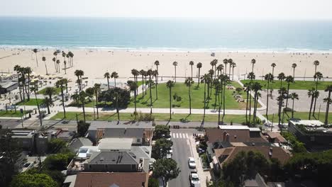 Los-Angeles-palm-tree-beach-waterfront-property-aerial-view-above-rooftops-dolly-left