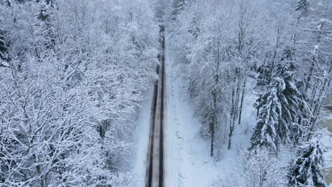 Top-Down-View-of-village-road-through-a-snow-covered-winter-forest,-aerial-flying-forward-motion