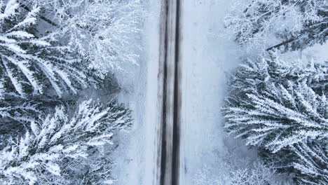 Luftaufnahme-Einer-Leeren,-Verschneiten,-Einzeiligen-Straße,-Die-Mit-Schnee-Im-Winterwald-Bedeckt-Ist,-An-Einem-Bewölkten-Wintertag---Drohne,-Die-Entlang-Der-Straße-Vorwärts-Fliegt,-Ansicht-Von-Oben