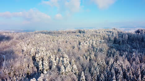 The-Snowy-Forest-In-The-Jorat-Woods,-Switzerland-Surrounded-With-Lush-Trees-Under-The-Bright-Blue-Cloudy-Sky---Aerial-Shot