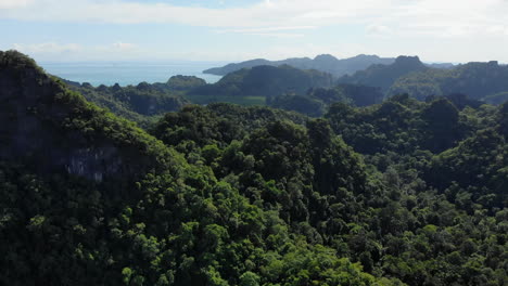 Aerial-Descending-View-Of-An-Incredible-Rainforest-Landscape,-Langkawi,-Malaysia