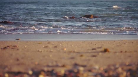 Handheld-shot-of-ocean-waves-at-the-beach-in-slow-motion