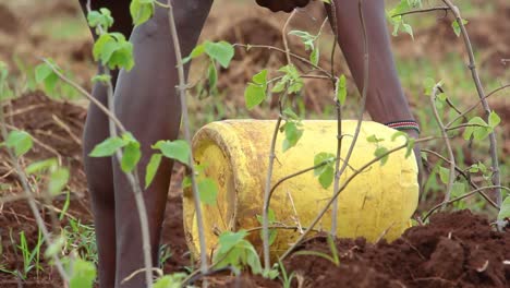 Farmer-pouring-water-on-tree-plants-in-Kenya