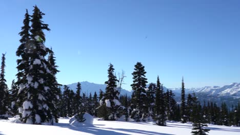 4K-footage-of-trees-and-mountains-on-bright-sunny-winter-day