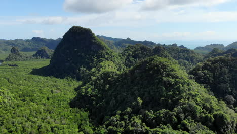 Aerial-Panning-View-Of-A-Rainforest-Mountain-Landscape-In-Langkawi,-Malaysia