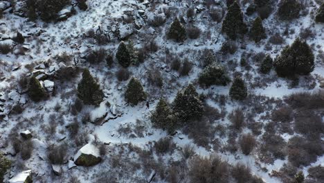 Drohnenluftaufnahme-Einer-Einsamen-Person,-Die-Im-Winter-Auf-Einem-Verschneiten-Weg-In-Der-Berglandschaft-Spazieren-Geht