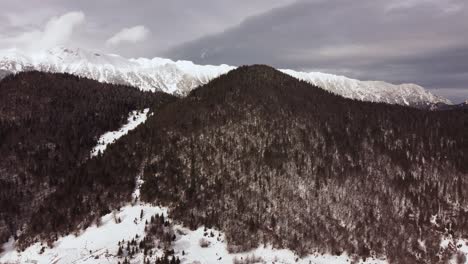 Aerial-Shot-Flying-Over-Green-Pine-Trees-In-A-Mountain-Range-Covered-With-Snow-On-A-Cloudy-Day