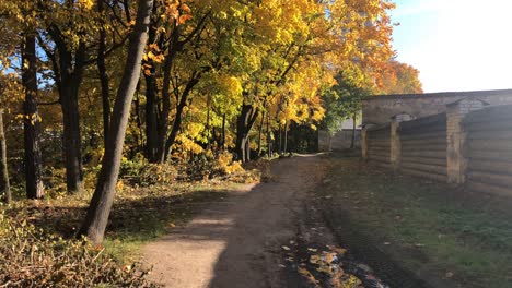 Autumn-walkpath-during-sunny-day