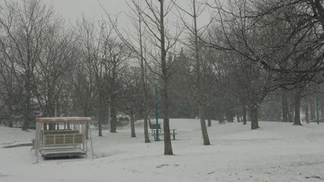 Winter-Empty-Snow-Park-with-Trees-and-Benches