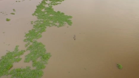 Aerial-view-of-a-small-indigenous-canoe-crossing-the-Orinoco-River-next-to-a-mound-of-floating-algae