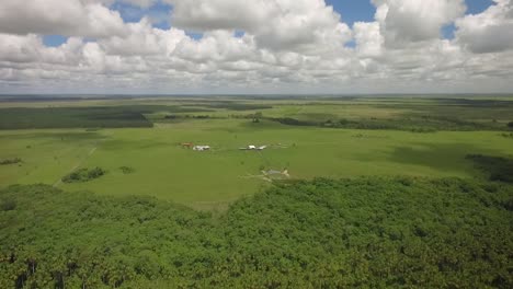 Drone-shot-of-a-green-savanna-and-a-group-of-trees-with-beautiful-clouds-in-the-sky